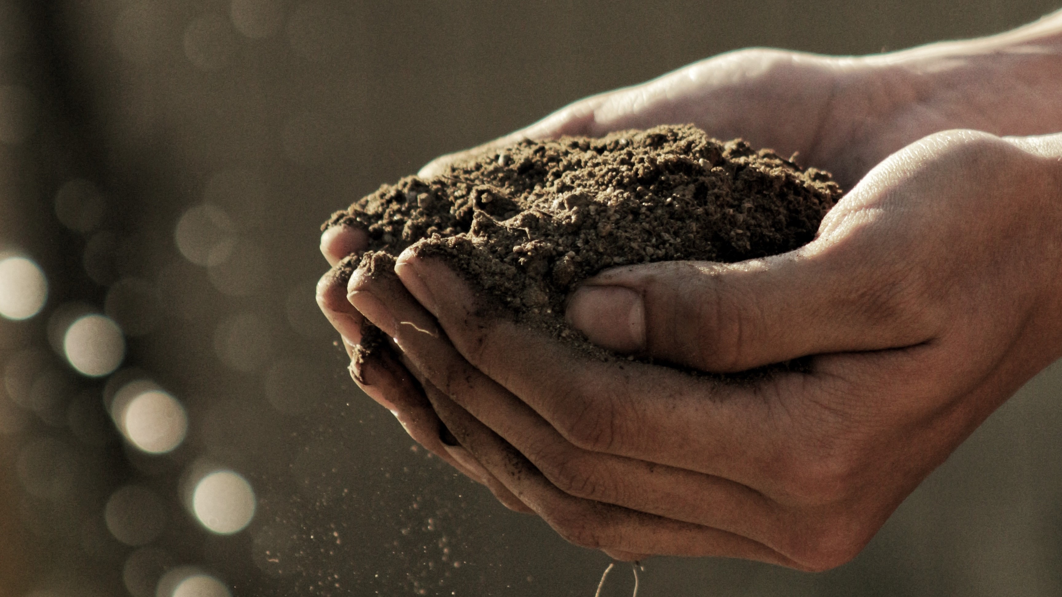 hands holding soil