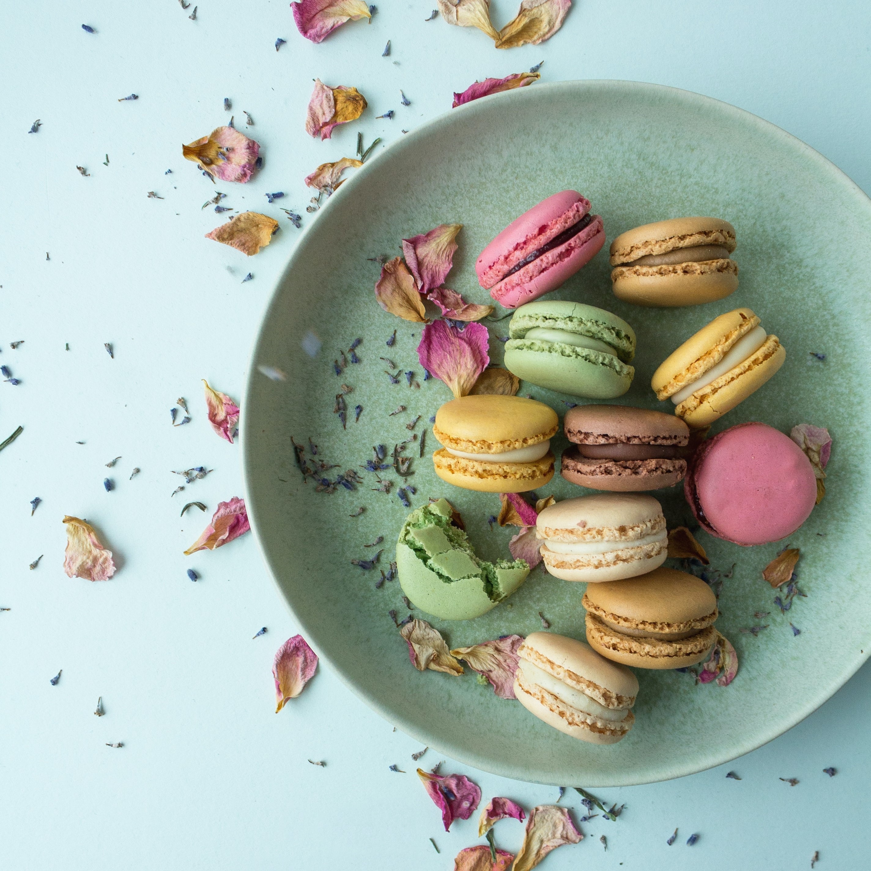 various coloured macarons on a plate with rose petal garnish